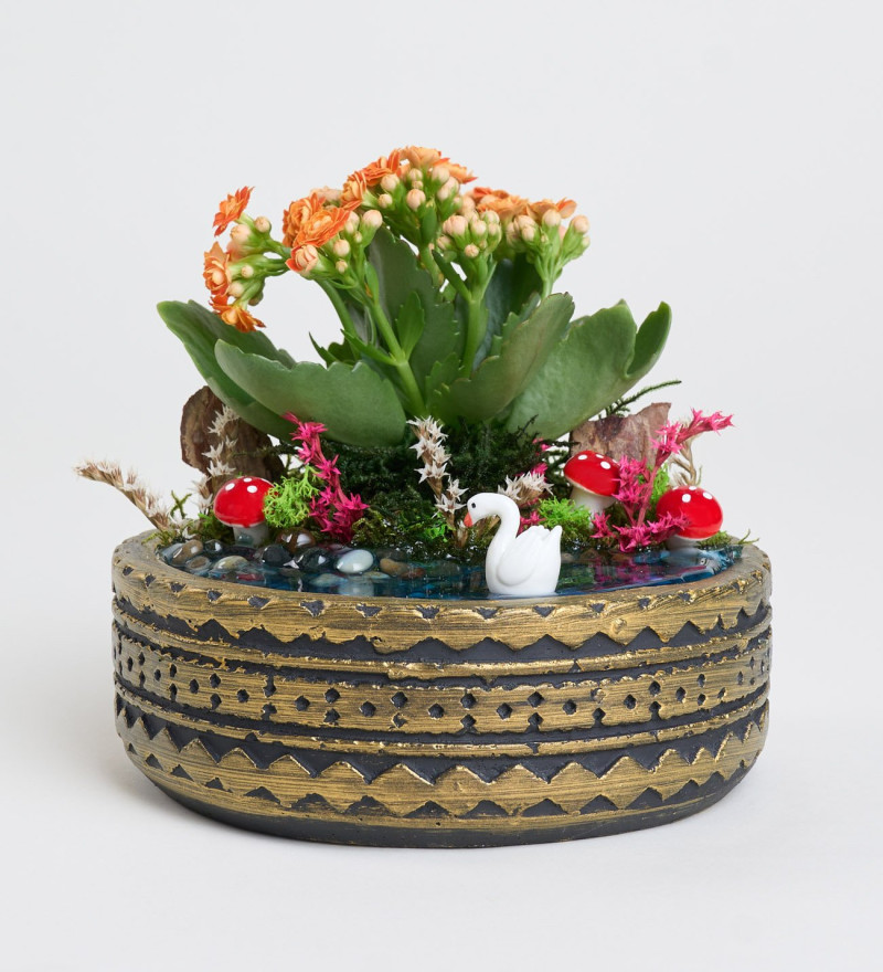Ring Saksıda Turuncu Kalanchoe Teraryum